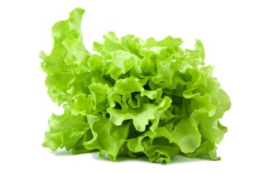 izole taze marul salatası