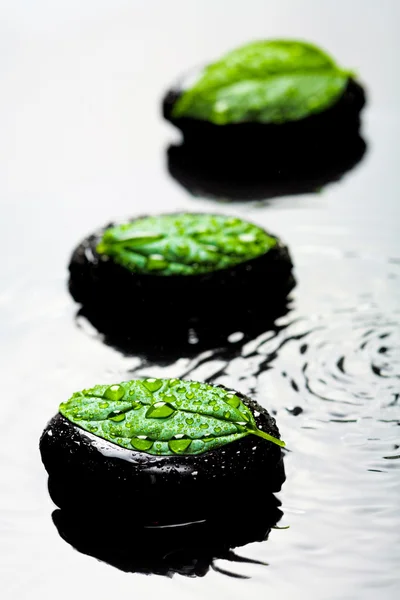 Spa steen en blad in water — Stockfoto