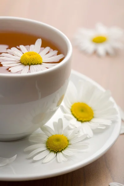 Cup of herbal tea and chamomile flowers — Stock Photo, Image