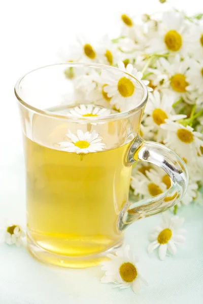 Taza de té de hierbas con flores de manzanilla — Foto de Stock