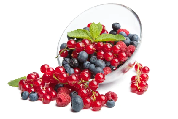Свіжі ягоди, ізольовані — стокове фото