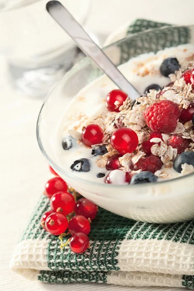 Йогурт з зерновими та дикими ягодами — стокове фото