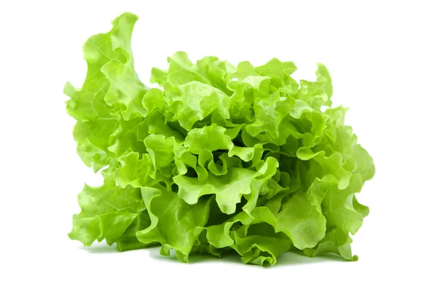 Salada de alface fresca isolada — Fotografia de Stock