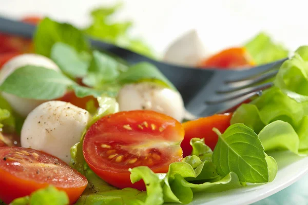 Salade met tomaten en mozzarella — Stockfoto