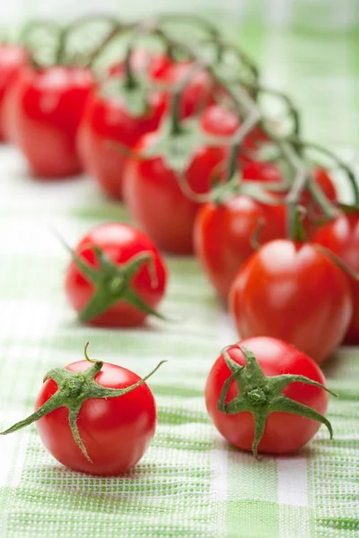 Zralá rajčata přes zelené — Stock fotografie