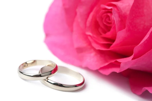 Anéis de casamento de ouro e rosa rosa isolado — Fotografia de Stock
