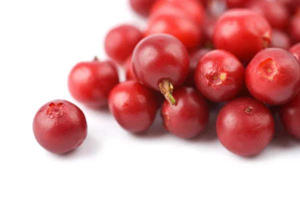 Ripe cranberries isolated — Stock Photo, Image