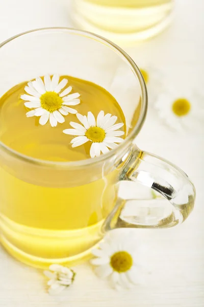Xícara de chá de ervas com flores de camomila — Fotografia de Stock