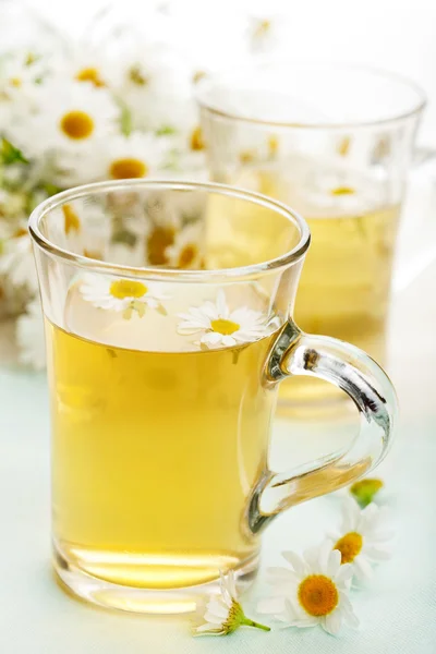 Cup of herbal tea with camomile flowers — Stock Photo, Image
