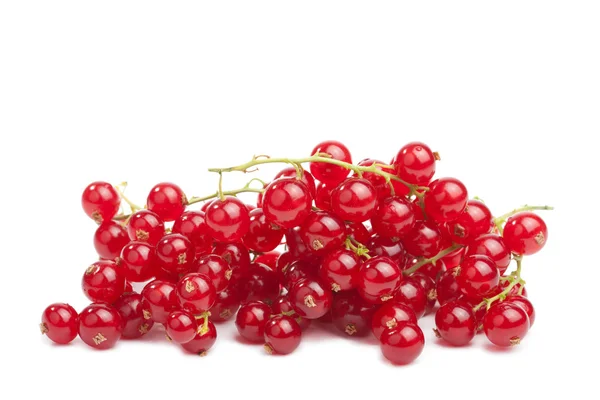 Czerwona porzeczka jagód na białym tle — Zdjęcie stockowe
