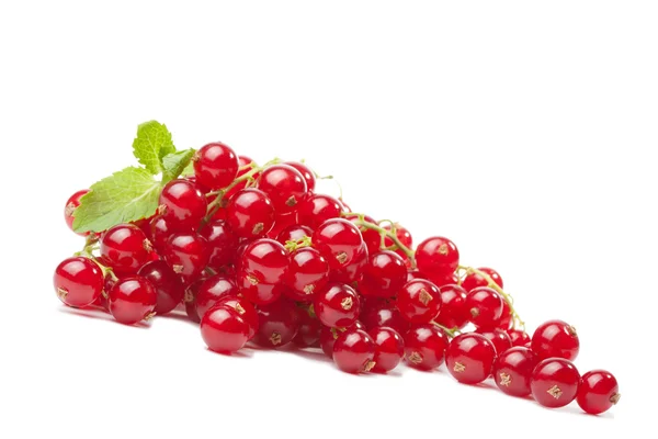 Czerwona porzeczka jagód na białym tle — Zdjęcie stockowe