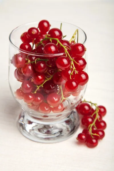 Czerwona porzeczka jagody — Zdjęcie stockowe