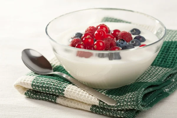 Yoghurt met wilde bessen — Stockfoto