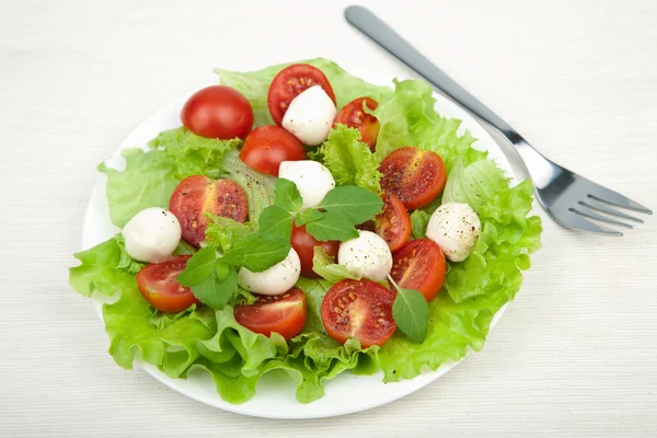 Sałatka z pomidorami i mozzarellą — Zdjęcie stockowe