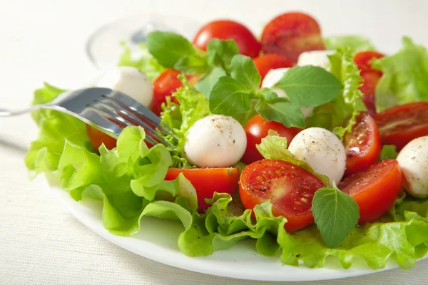 トマトとモッツァレラのサラダ — ストック写真