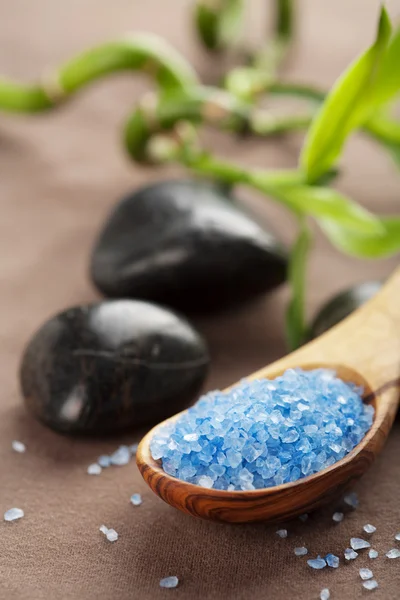 中草药的盐和 spa 石头 — 图库照片