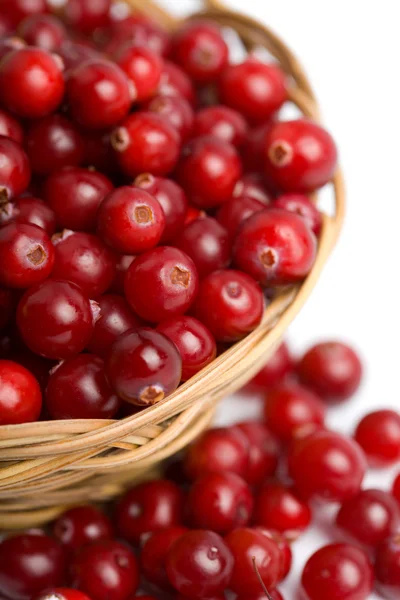 Ripe cranberries in bowl isolated — Stock Photo, Image