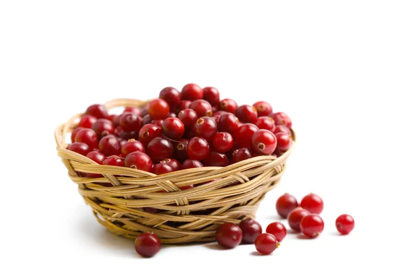 Ripe cranberries isolated — Stock Photo, Image