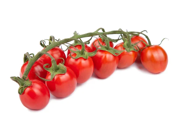 Mogna tomater isolerade — Stockfoto