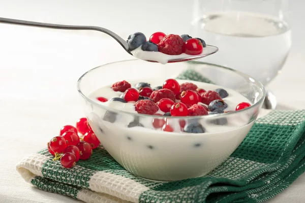 Yogurt with wild berries — Stock Photo, Image