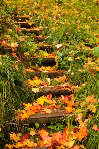 Passos para o outono — Fotografia de Stock