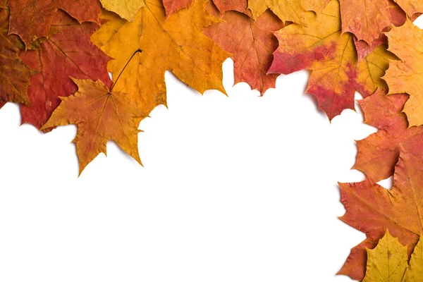 Száraz őszi levelek elszigetelt — Stock Fotó