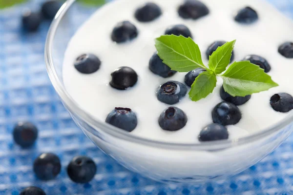 Jogurt s borůvkový — Stock fotografie