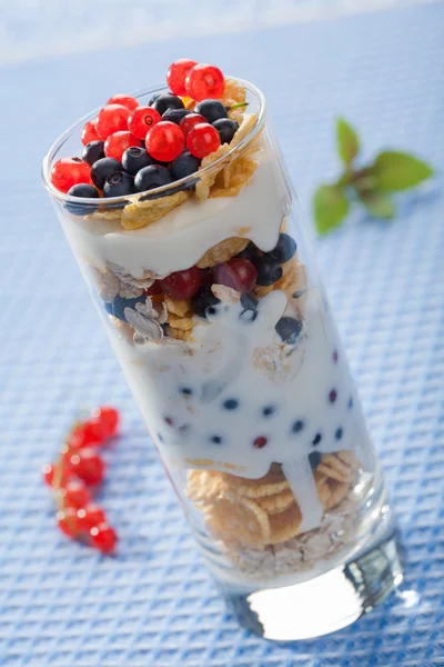 Joghurt mit Müsli und Beeren — Stockfoto