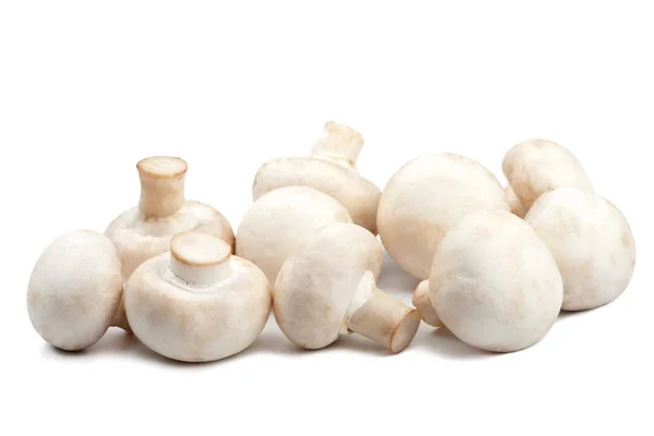 stock image Fresh mushrooms isolated