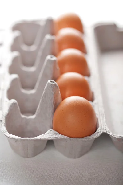 Huevos en caja aislados — Foto de Stock
