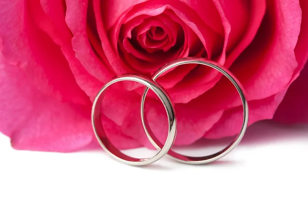 Золотые обручальные кольца и розовая роза изолированы — стоковое фото
