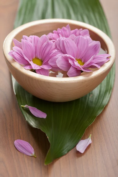 Розовые цветы в вазе — стоковое фото