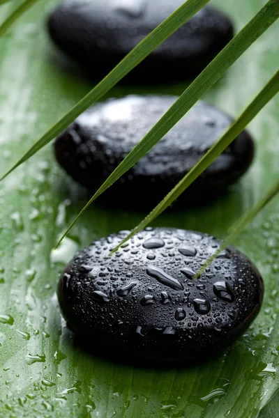 Pedras de spa preto e folhas — Fotografia de Stock