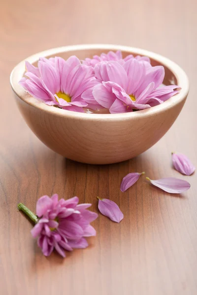Roze bloemen in kom — Stockfoto
