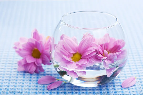 ดอกไม้สีชมพูในแจกัน — ภาพถ่ายสต็อก