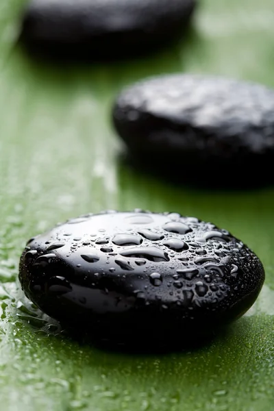 Black spa stones over leaf — Stock Photo, Image