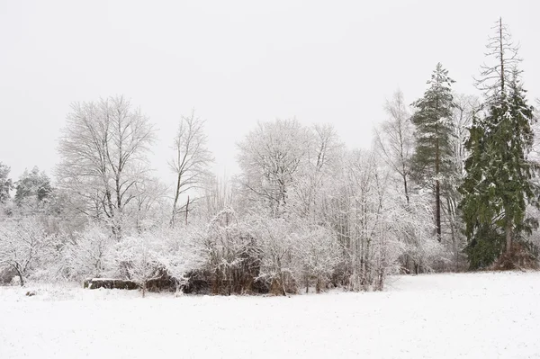 Paisagem Inverno — Fotografia de Stock