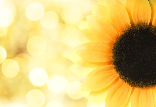 Sonnenblume über abstraktem Hintergrund — Stockfoto