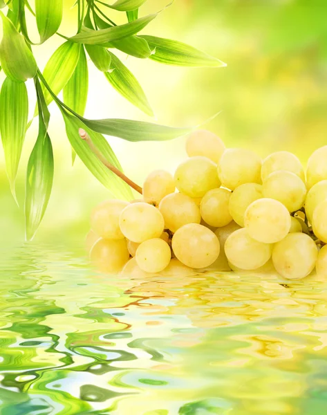 stock image Ripe raspberries reflected in water