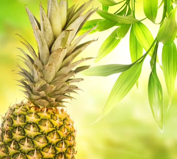 Pineapple Abstract Blurred Background — Stock Photo, Image