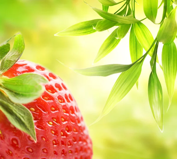 Ripe strawberry over abstract green background — Stock Photo, Image