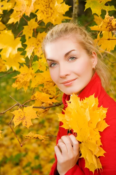 Mulher bonita na floresta de outono — Fotografia de Stock
