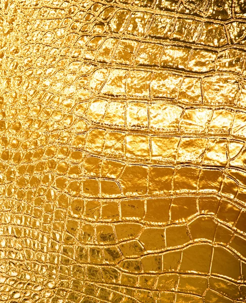 Abstract Golden Background — Stock Photo, Image