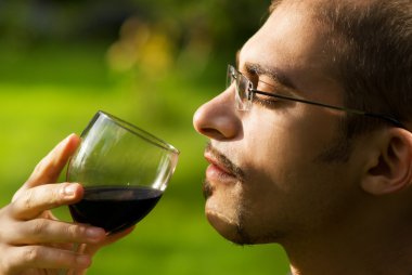 Professional sommelier tasting red wine. Close-up portrait. clipart