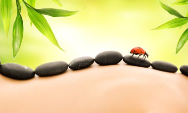 Massage with hot stones clipart