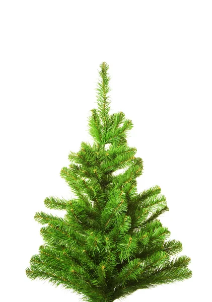 Árvore de Natal sem decoração. Isolado sobre fundo branco — Fotografia de Stock