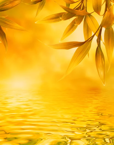 Suya Yansıyan Altın Yaprağı — Stok fotoğraf