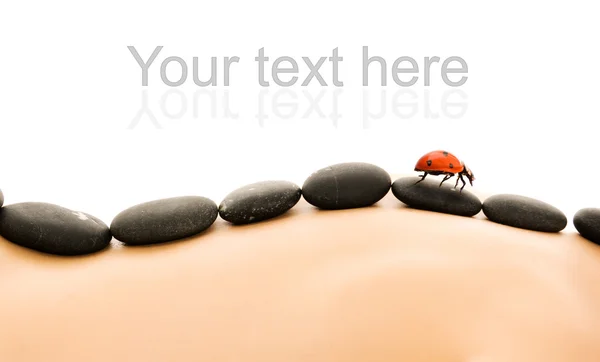 Massage Mit Heißen Steinen — Stockfoto