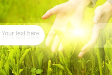 Human hands touching green grass. Graphic design elements on it are perfect to put text on clipart