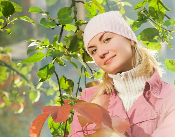 Красивая Девушка Осенними Листьями Возле Яблони — стоковое фото